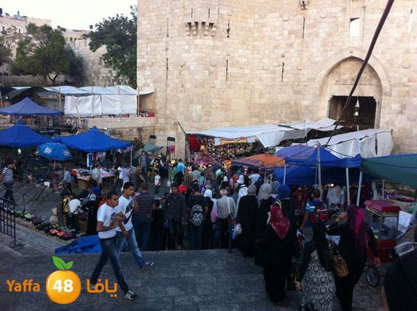 byareq 2 busses (20).jpg